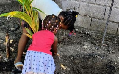 Education relative à l&rsquo;environnement, une nécessité pour les Haïtiens