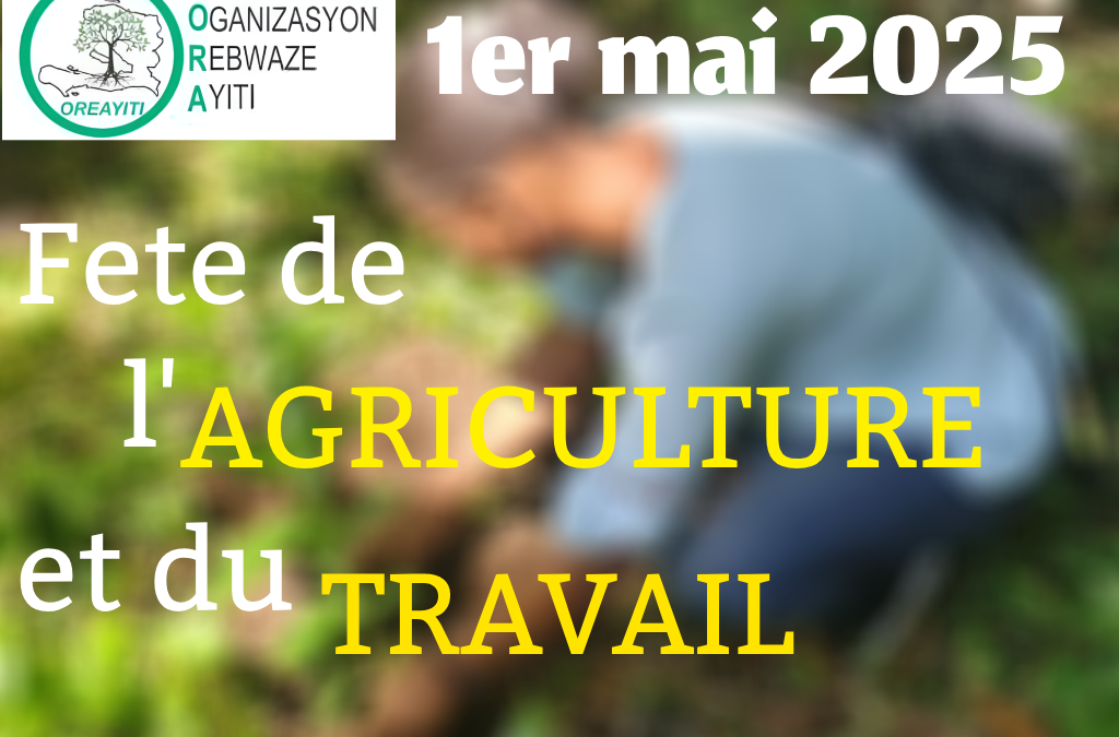 1er mai, des reformes administratives pour un nouvel élan à l&rsquo;agriculture haïtienne