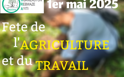 1er mai, des reformes administratives pour un nouvel élan à l’agriculture haïtienne