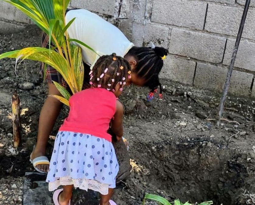 Education relative à l&rsquo;environnement, une nécessité pour les Haïtiens